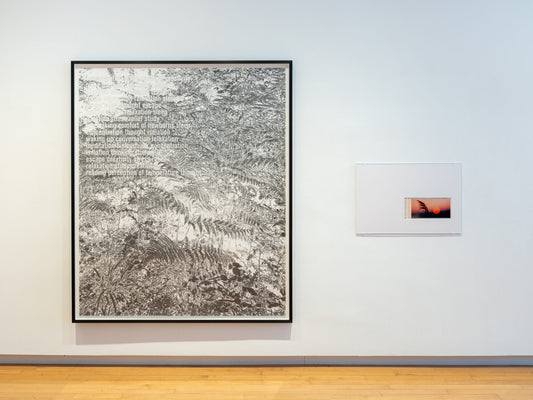 Martin Beck’s ‘Environments’ Art Summons New Age Sights and Sounds: Reimagining Ambient Spaces Through Art